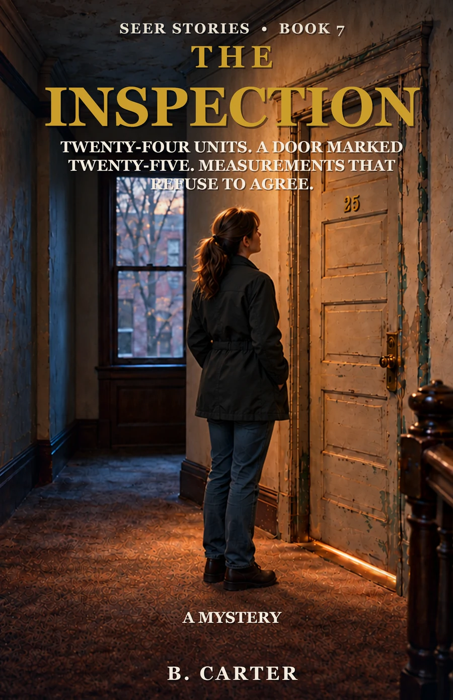 The Inspection — Seer Stories cover